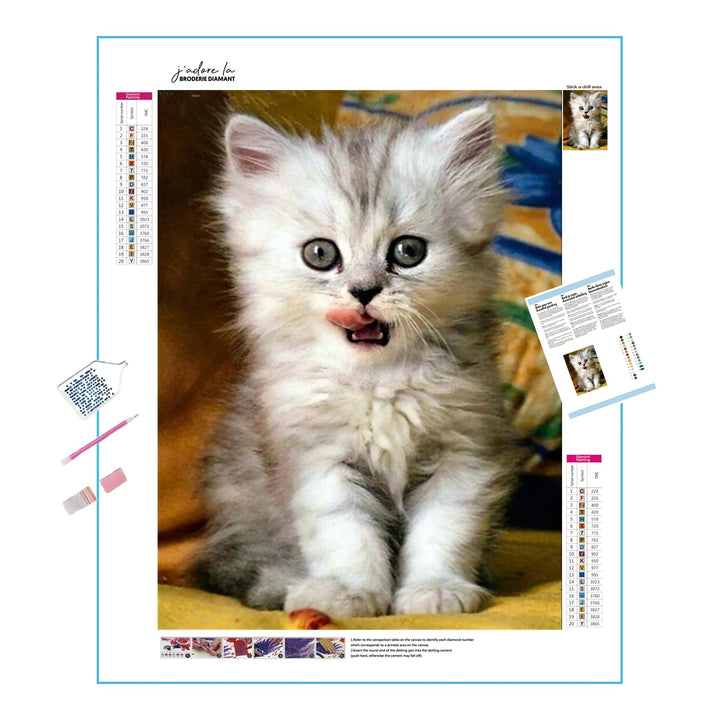 Chat affamé Broderie Diamant Diamond Painting