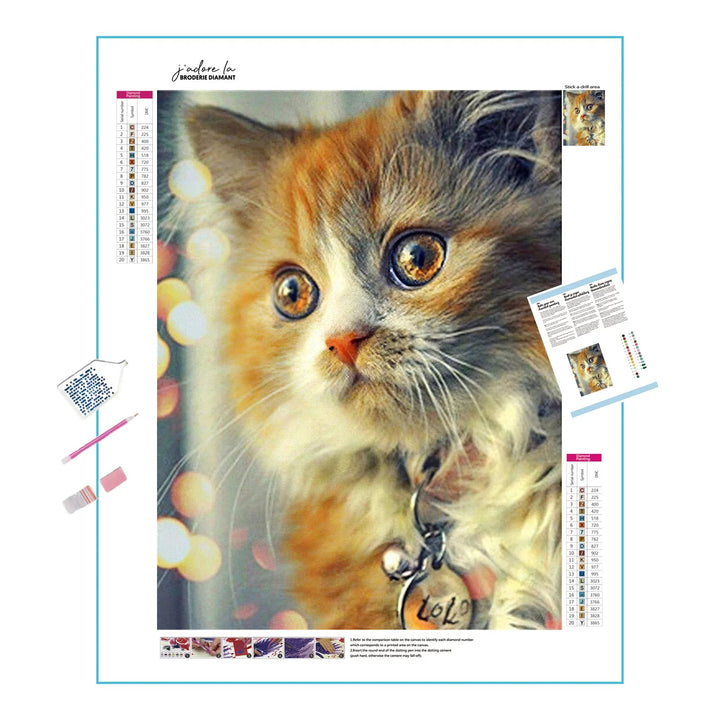 Chat aux yeux brillants Broderie Diamant Diamond Painting