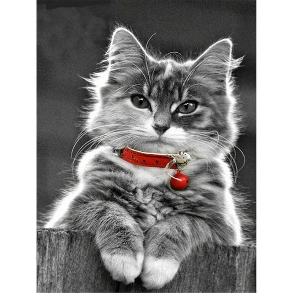 Chat avec médaillon rouge Broderie Diamant Diamond Painting