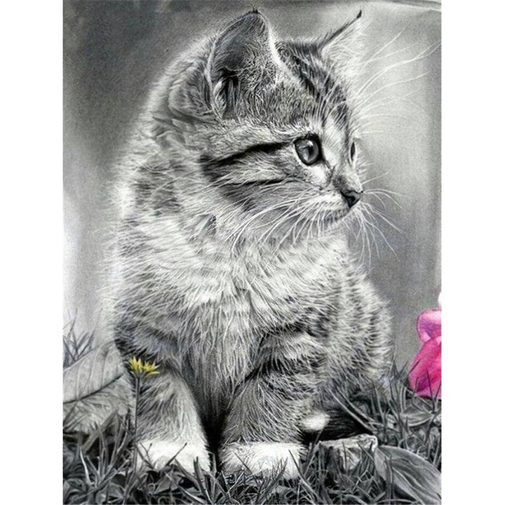 Chat aveugle. Broderie Diamant Diamond Painting