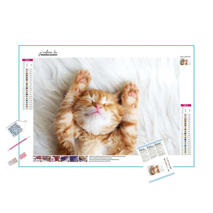 Chat endormi Broderie Diamant Diamond Painting