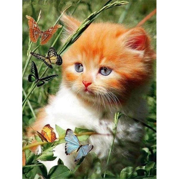 Chat et papillon Broderie Diamant Diamond Painting