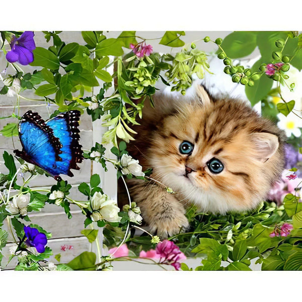 Chaton et Papillon Broderie Diamant Diamond Painting