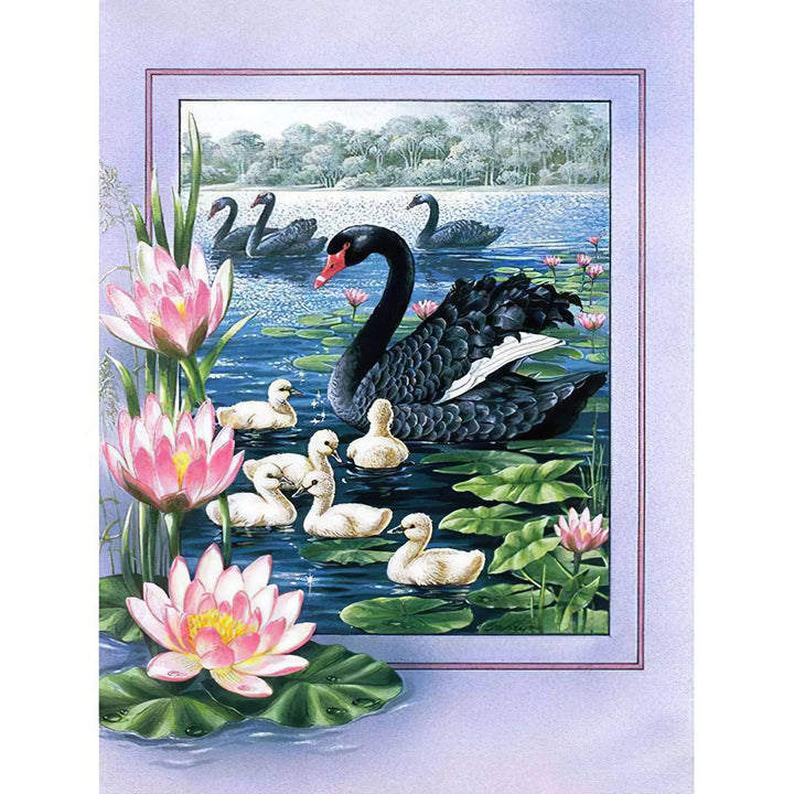 Cygne noir Broderie Diamant Diamond Painting