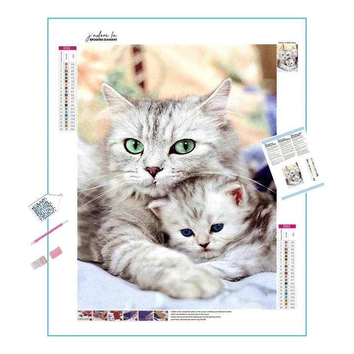 Deux beaux chats Broderie Diamant Diamond Painting