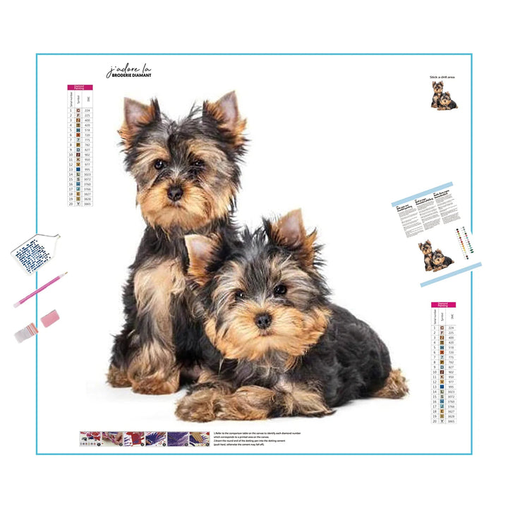 Deux chiens terrier soyeux Broderie Diamant Diamond Painting