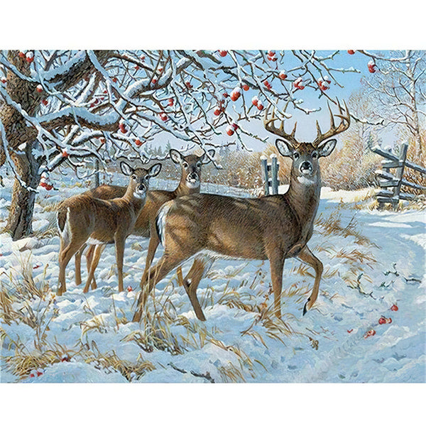 Les cerfs vous regardent Broderie Diamant Diamond Painting