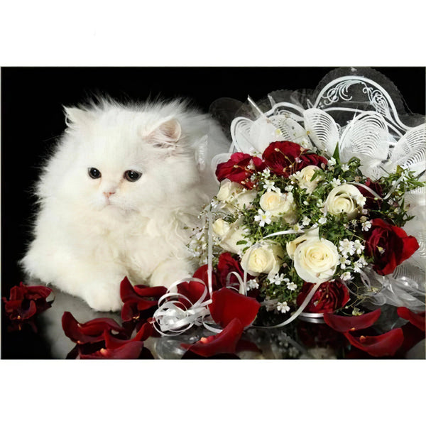 Rose et chat Broderie Diamant Diamond Painting