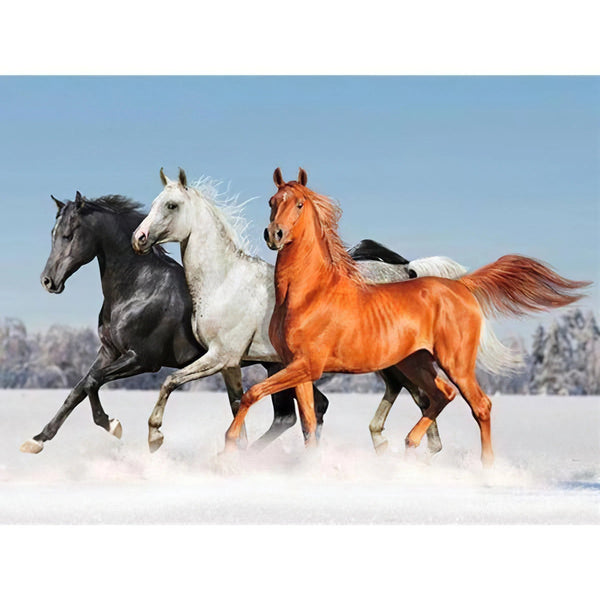 Trois chevaux en hiver Broderie Diamant Diamond Painting