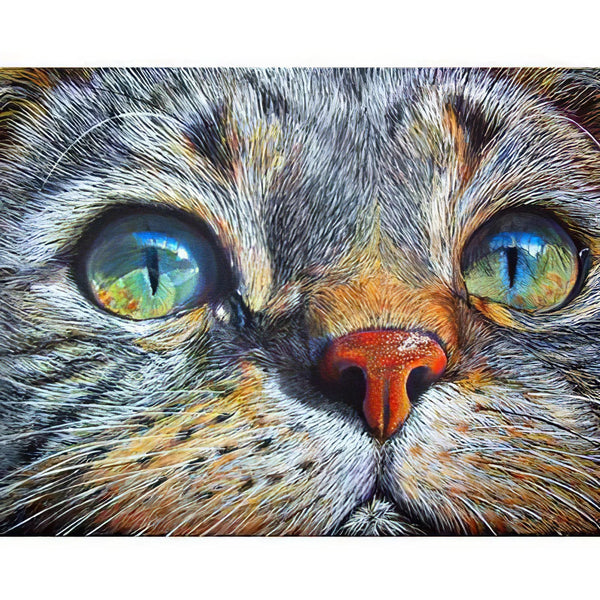 Un Chat avec un Regard Perçan Broderie Diamant Diamond Painting