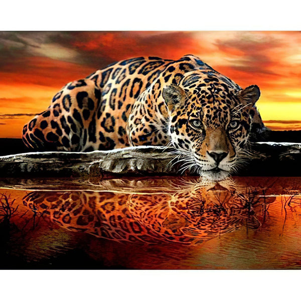 Un Tigre avec son Reflet dans l'Eau Broderie Diamant Diamond Painting