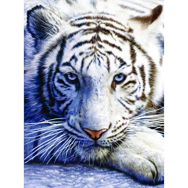 Un tigre blanc Broderie Diamant Diamond Painting